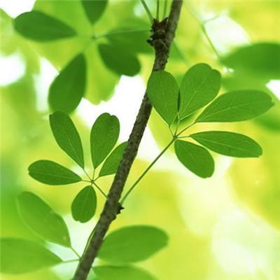 俄方：不清楚美伊是否正在进行谈判