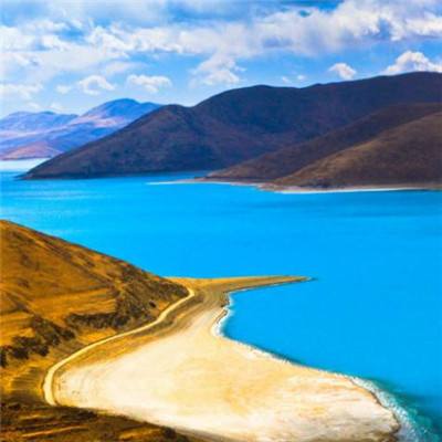 跳水群星现身知音号 郭晶晶盛装出席